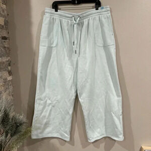 Savage X Fenty Light Blue Aqua Sweatpants. Womens Size 2X
